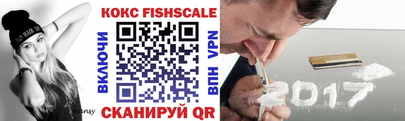 Cocaine FishScale Купить закладки Болгар