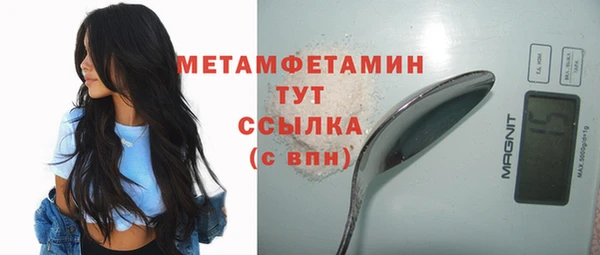 прущие грибы Верея
