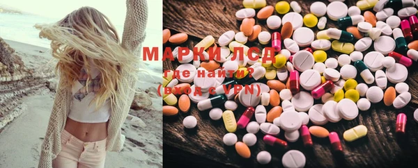 прущие грибы Верея