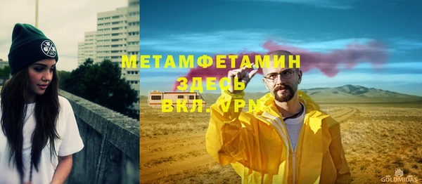 прущие грибы Верея